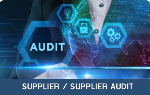 บริการตรวจประเมิน